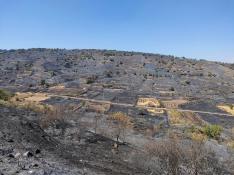 Laderas de Añón arrasadas por el fuego, este lunes, vistas desde la Torre del Castillo.