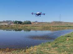 La prueba de siembra de arroz con drones de Atria Arroceros de Huesca, junto con la Red Arax, se llevo a cabo el pasado 10 de junio en una parcela de la localidad oscense de Alcolea de Cinca.