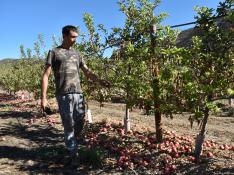 Fernando Júdez, fruticultor de 29 años, y José Manuel Casado, agricultor y ganadero de 52, confían en salir adelante a pesar del rastro dejado por el fuego