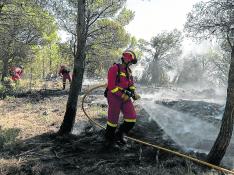 Foto de la extinción del incendio del Moncayo, en La Muela de Borja, el pasado 15 de agosto