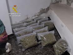 Durante la operación se han incautado 650 kilogramos de marihuana y 51 de hachís.
