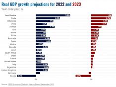 Proyecciones de crecimiento 2022-2023 de la OCDE.