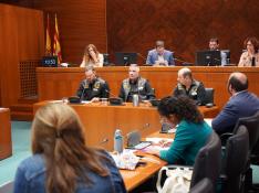 Los representantes de la asociación PICA, este martes en las Cortes de Aragón.