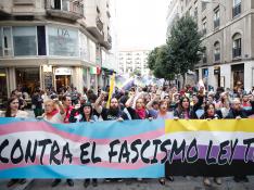 Manifestación en Madrid a favor de la Ley Trans.