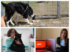 Arriba, un perro en el nuevo centro de bienestar canino En Clave de Can. Abajo, la veterinaria Sandra Portals y Lucía Conget, que en unos días lanza la red social para mascotas Petit.