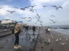 Una joven da de comer a las gaviotas en una de las playas de Odesa