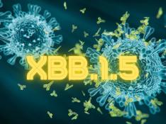 XBB 1.5, la nueva subvariante de covid. Recurso. gsc