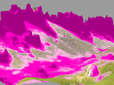 Lugares con temperatura más estable (menos extrema) en este sector (colores rosas): refugios microclimáticos.