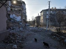 Zona afectada por los ataques rusos en la ciudad de Lyman