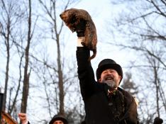 La marmota Phil "predice" seis semanas más de invierno en Estados Unidos