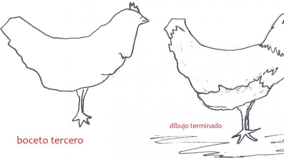 Dibujando gallinas