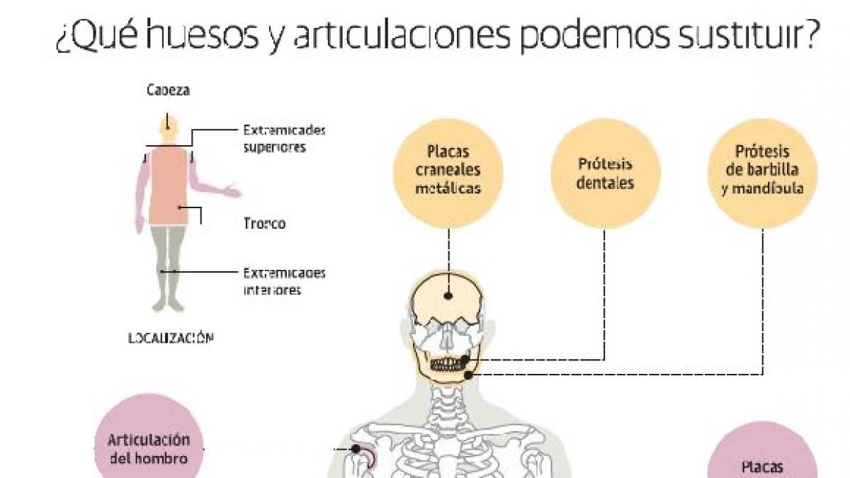 diagrama etiquetado de células óseas