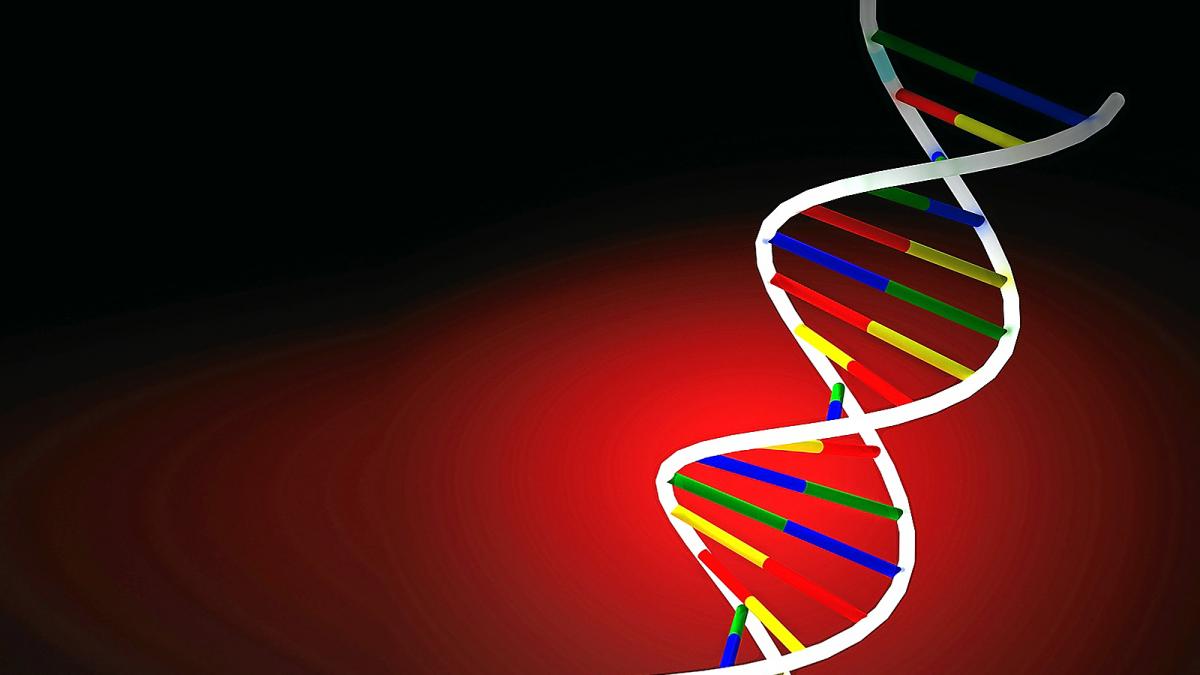 La genética, clave en la medicina del siglo XXI