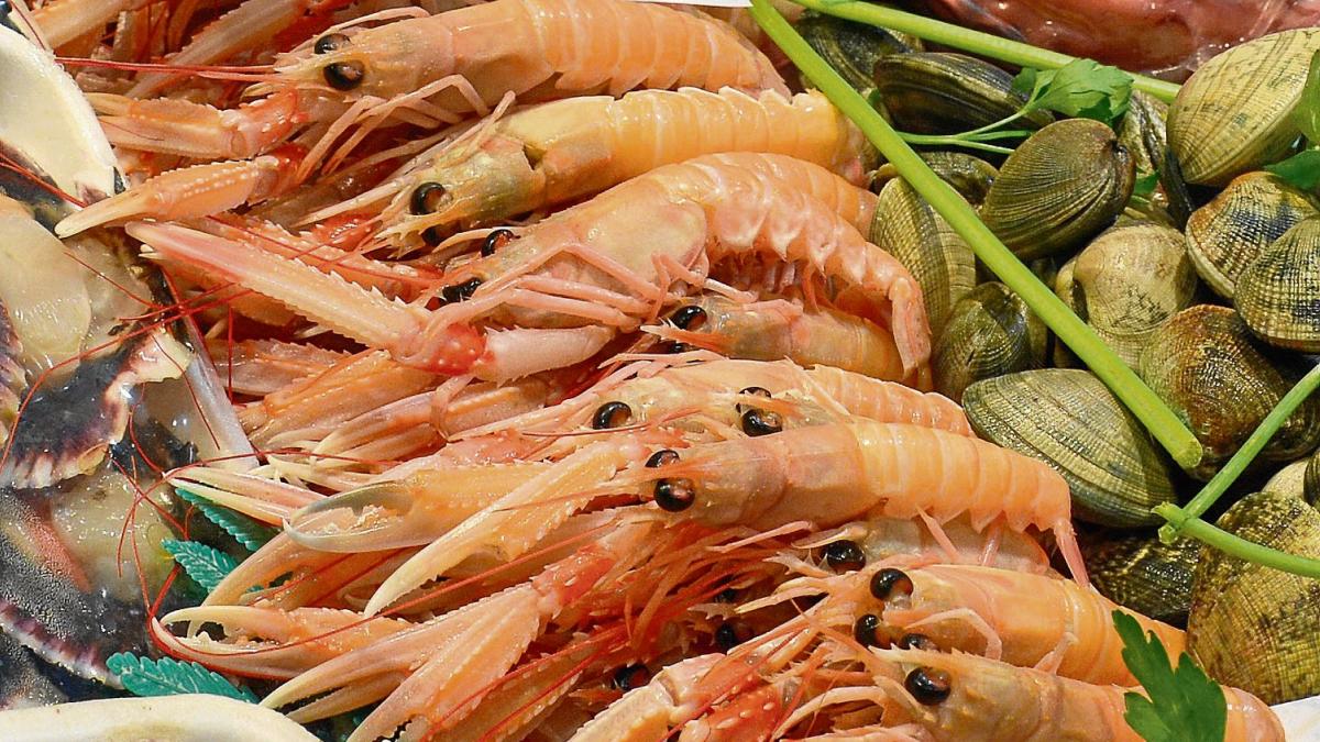 Zarzuela de pescados, el guiso marinero de más categoría | Noticias de  Gastronomía en 