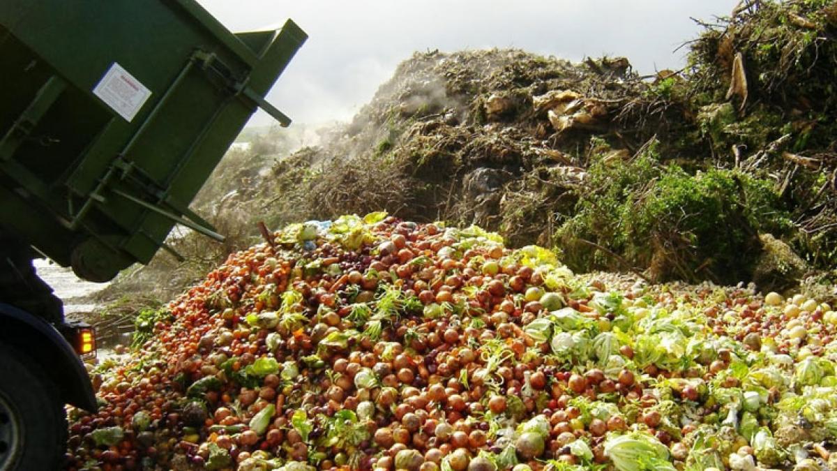 ?La comida 'fea' también sienta bien Noticias de Sociedad en Heraldo.es
