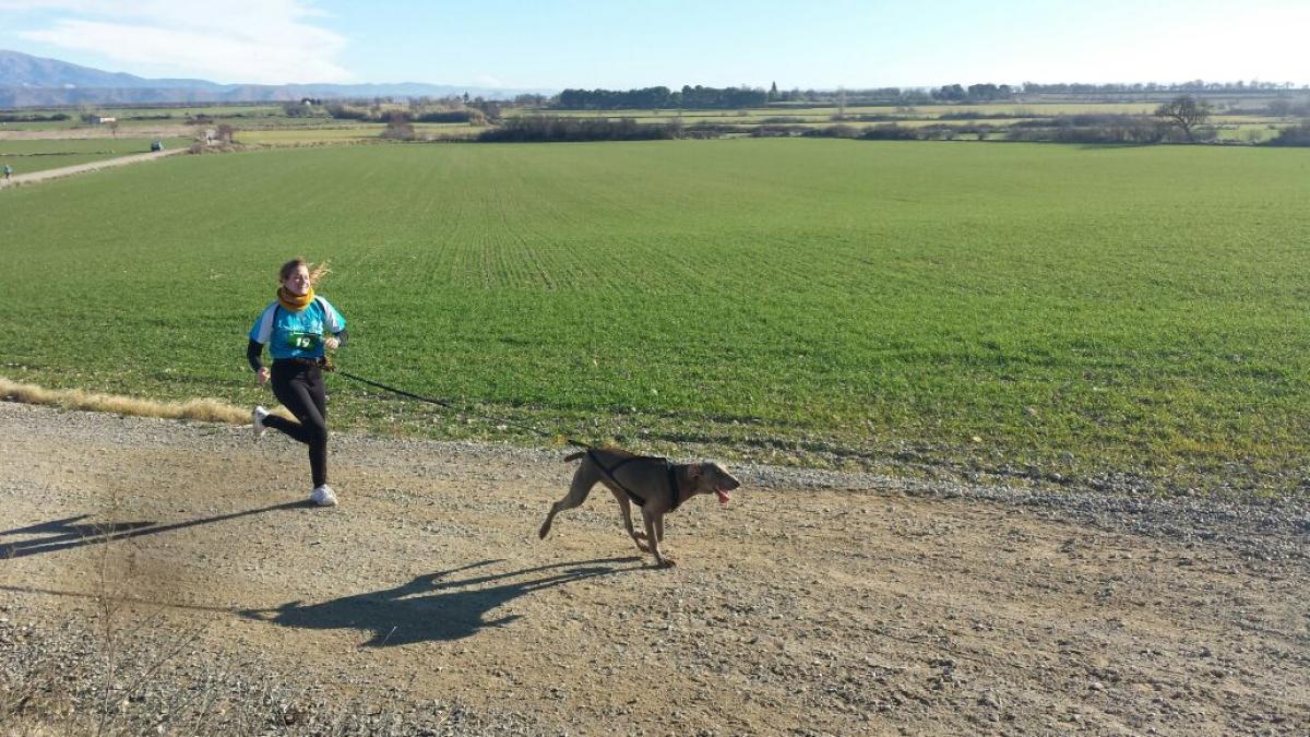 Correr detrás... de tu perro | Noticias de Más deportes en Heraldo.es