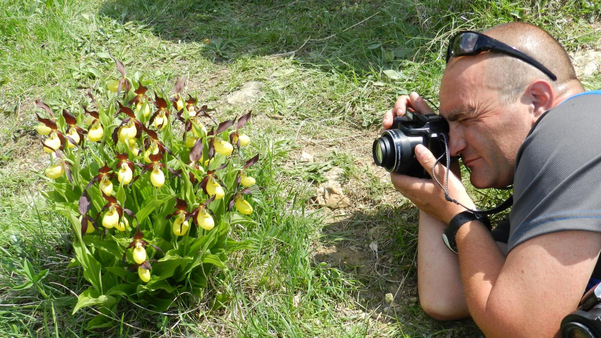 Buscar el zapatito de dama en las Jornadas de Orquídeas de Biescas |  Noticias de Turismo en 