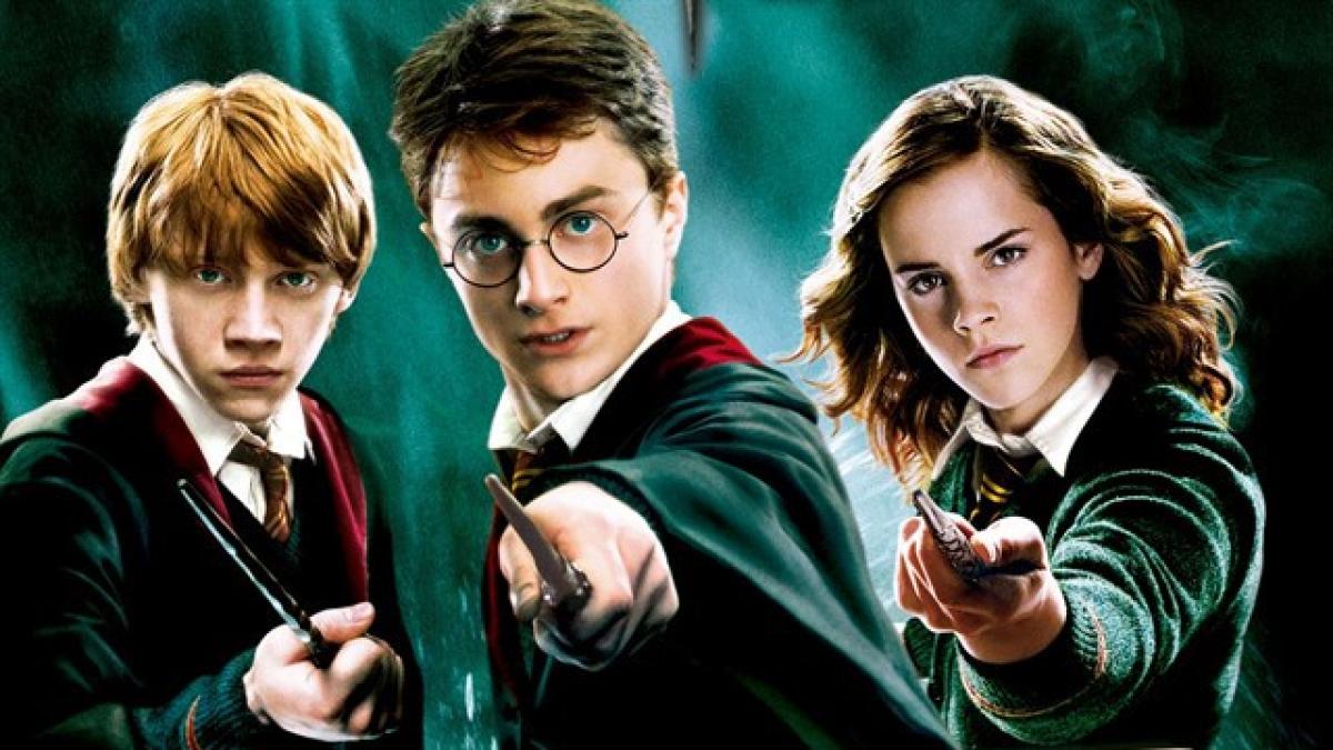 Las redes se organizan para ver la saga de Harry Potter en 