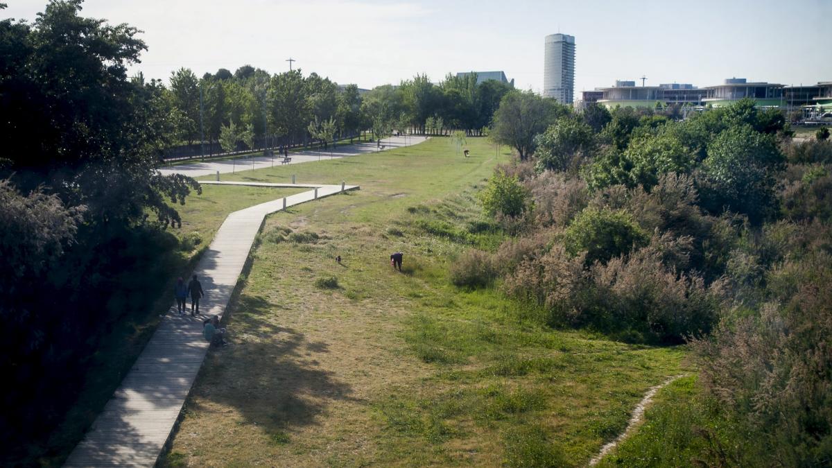 Urbanismo cree que la expropiación millonaria del Tiro de Pichón Urbanismo cree que la expropiación millonaria del Tiro de Pichón