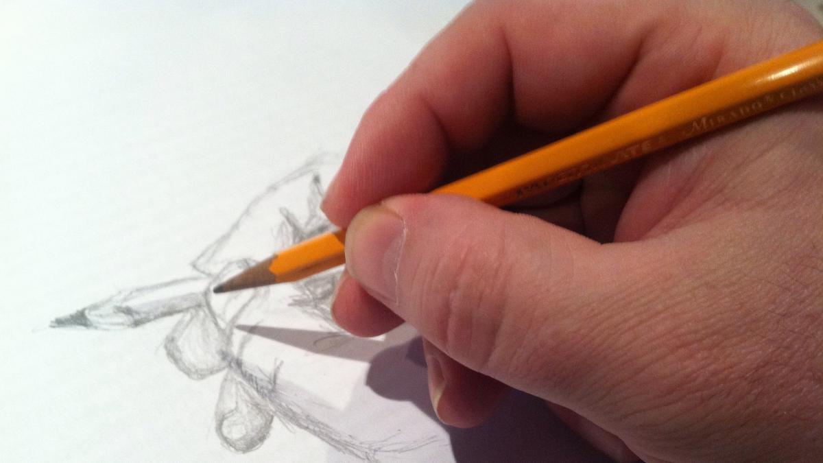 Dibujar es la técnica más eficaz para memorizar, según científicos  canadienses – RCI