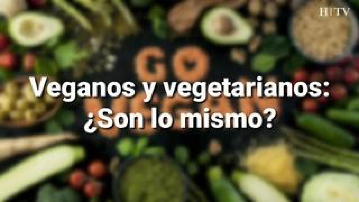 Vídeo De Las Diferencias Entre Veganos Y Vegetarianos