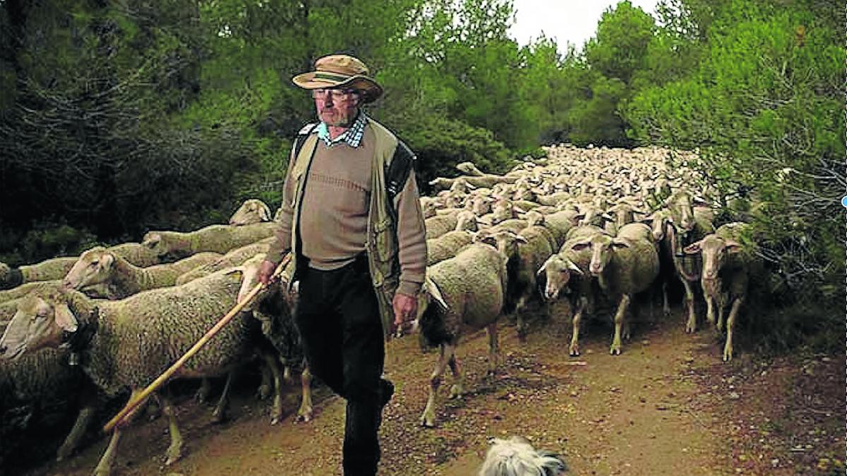 Los últimos pasos del trashumante