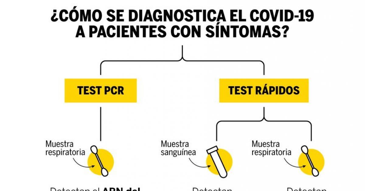 ¿Qué diferencia hay entre las PCR y los test rápidos para el diagnóstico del Covid-19?