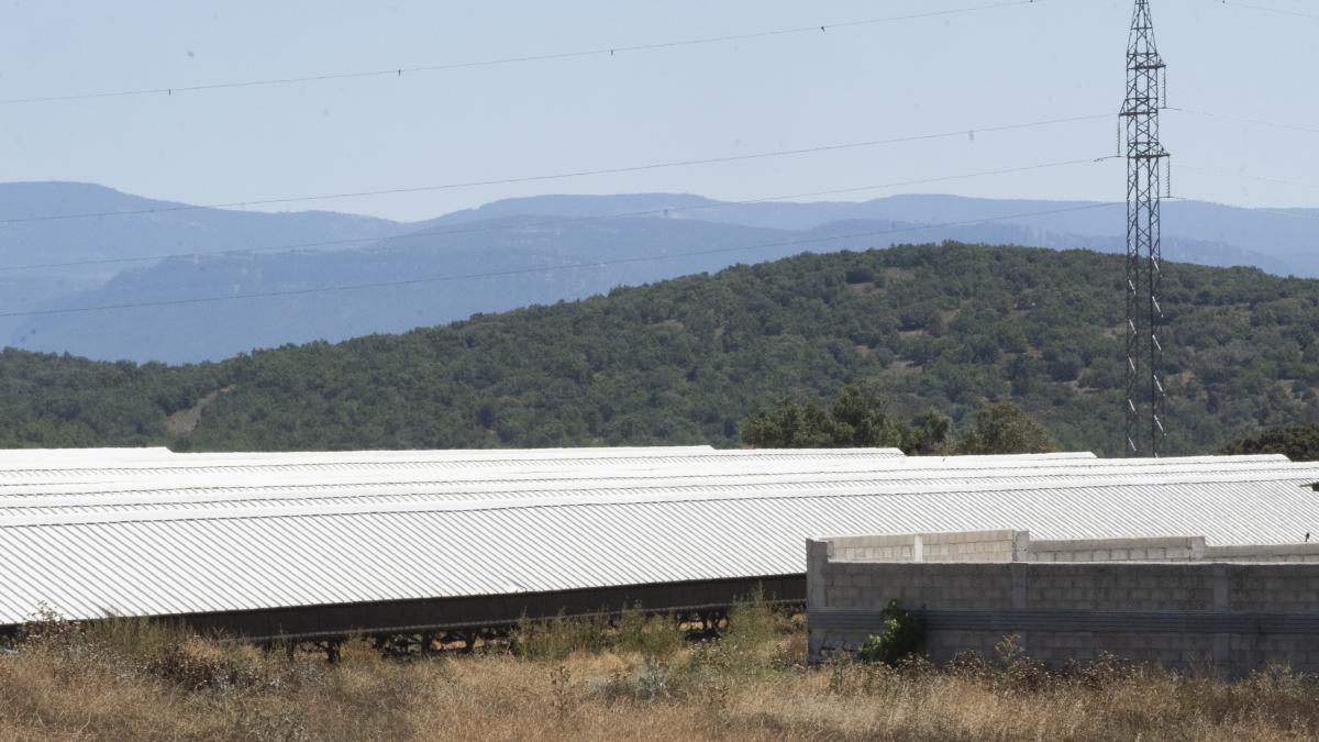 En imágenes Granja de visones en la Puebla de Valverde, a la que la
