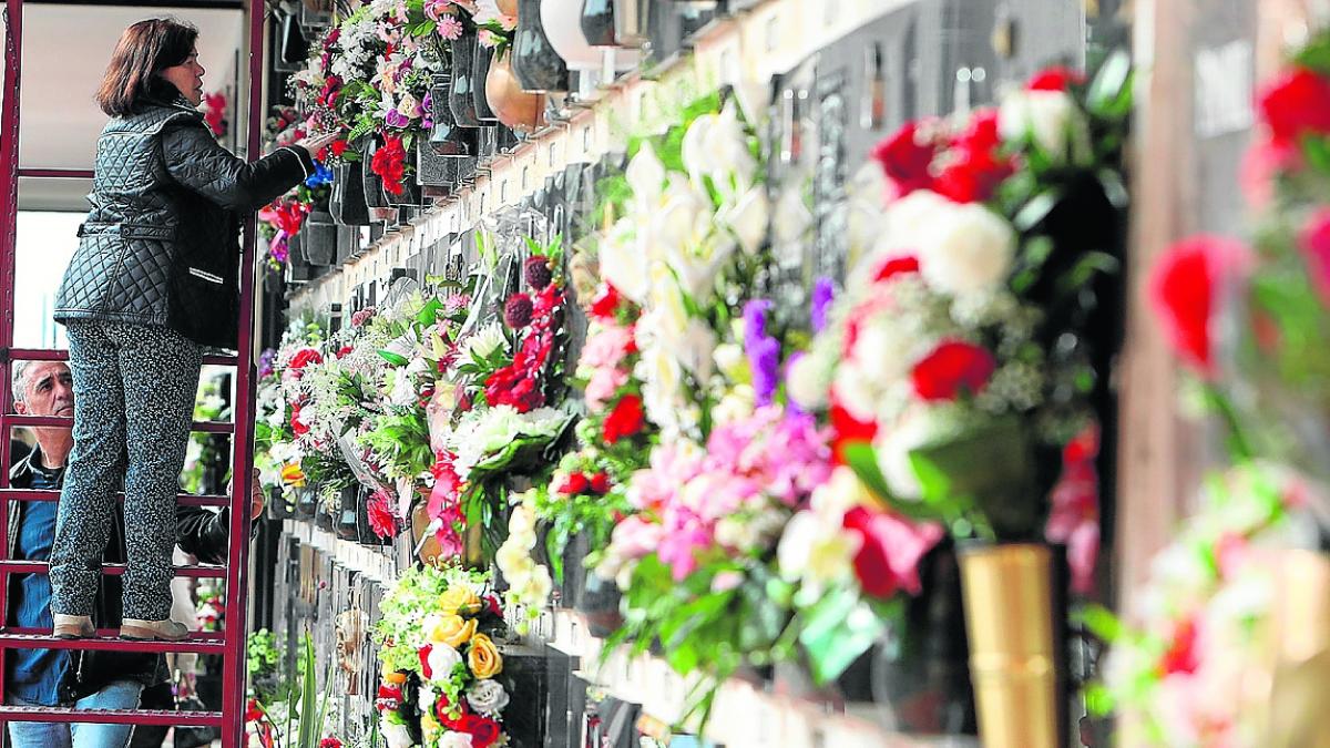 Cuáles son las mejores flores para llevar al cementerio y cómo mantenerlas  frescas