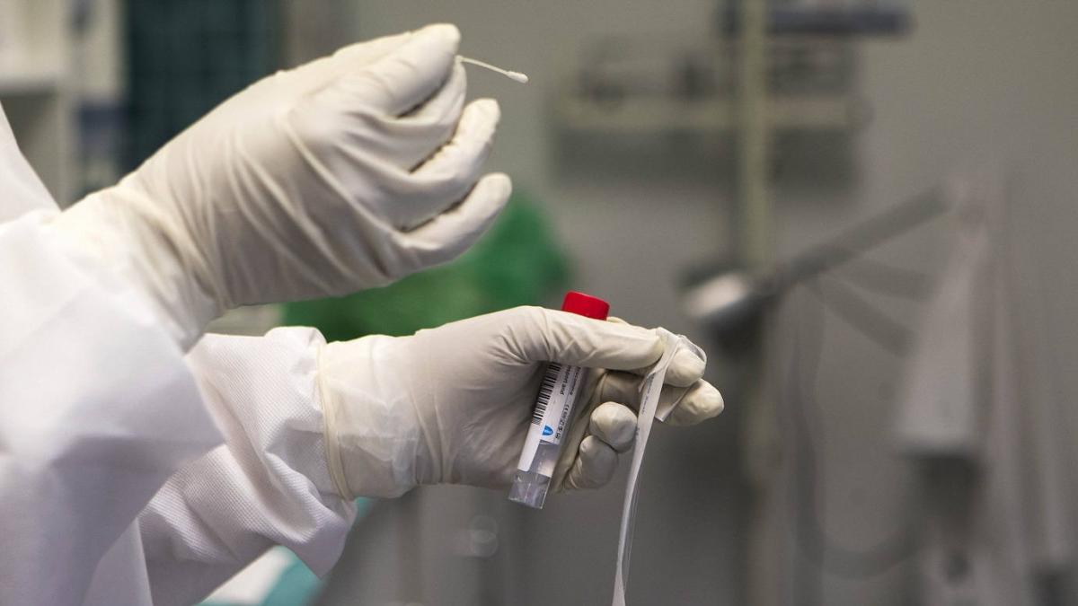¿Cómo funcionan y en qué se diferencian las PCR y los test rápidos de coronavirus?