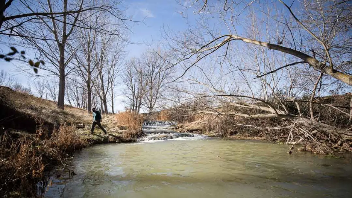 Foto de Parque del rio en Ferreruela de Huerva, Teruel