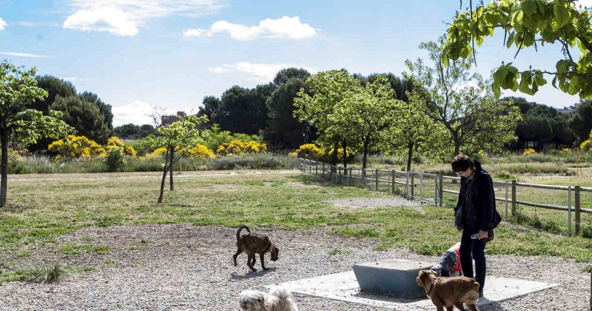 Zaragoza habilitará a partir de mayo diez espacios de suelta de perros en  parques y zonas verdes
