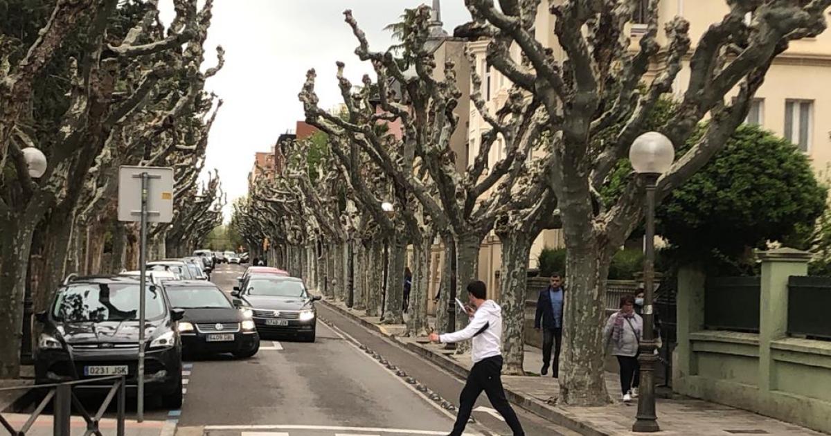 Un informe técnico justifica la tala de 110 árboles en la calle del Parque  en Huesca