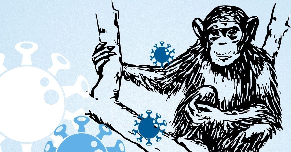 Viruela del mono: ¿cuáles son sus síntomas y cómo se contagia?