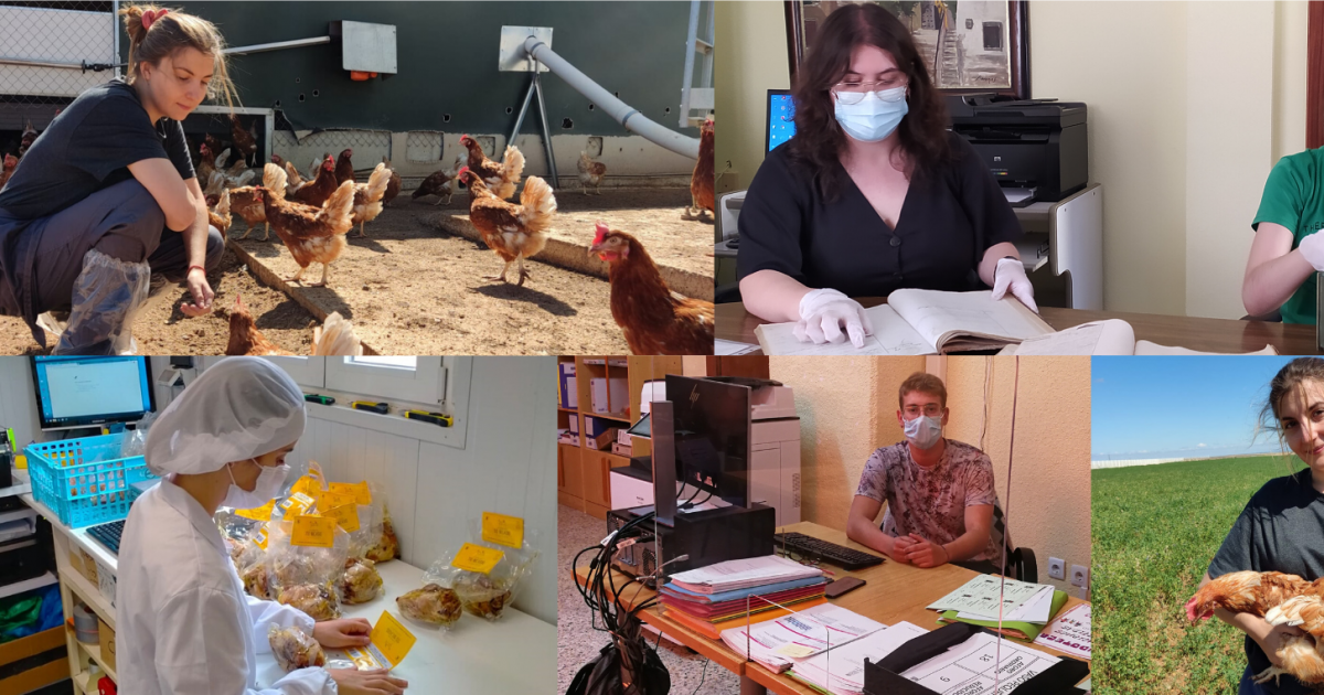 Abierto el programa de prácticas en el entorno rural que promueven Universidad de Zaragoza y Diputación de Huesca