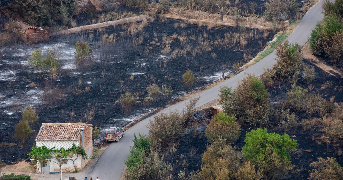 Aprobada la solicitud de zona catastrófica para el área afectada por el incendio de Ateca