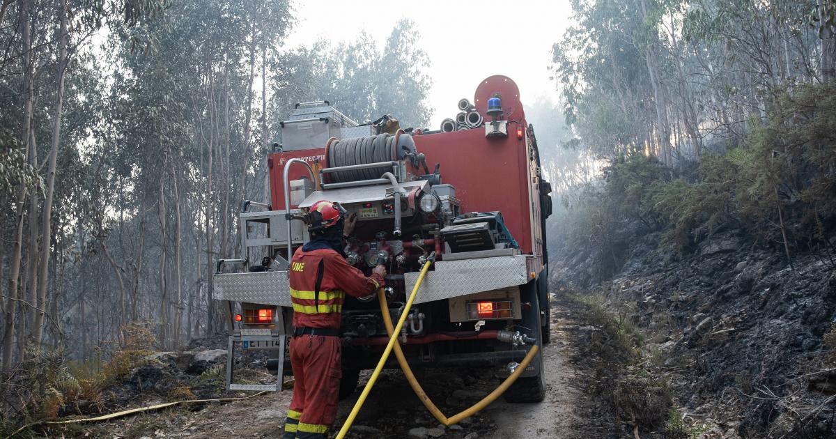 Muere Un Bombero Atropellado Por Un Autobús Durante Un Operativo De ...