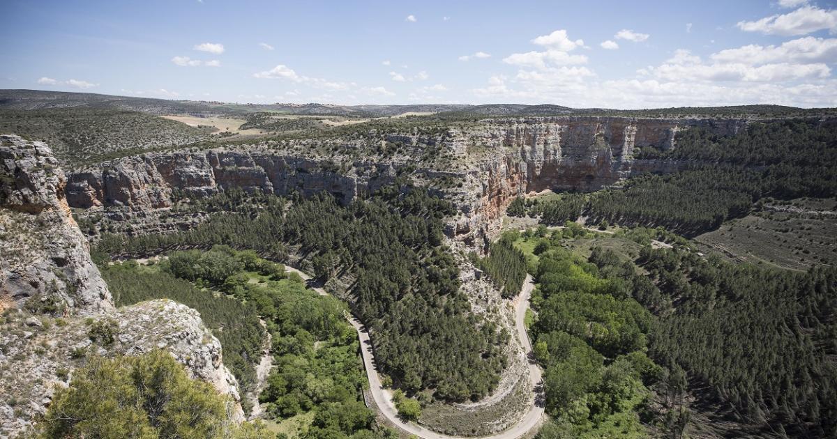 Foto de Mirador de los Buitres en Olvés, Zaragoza