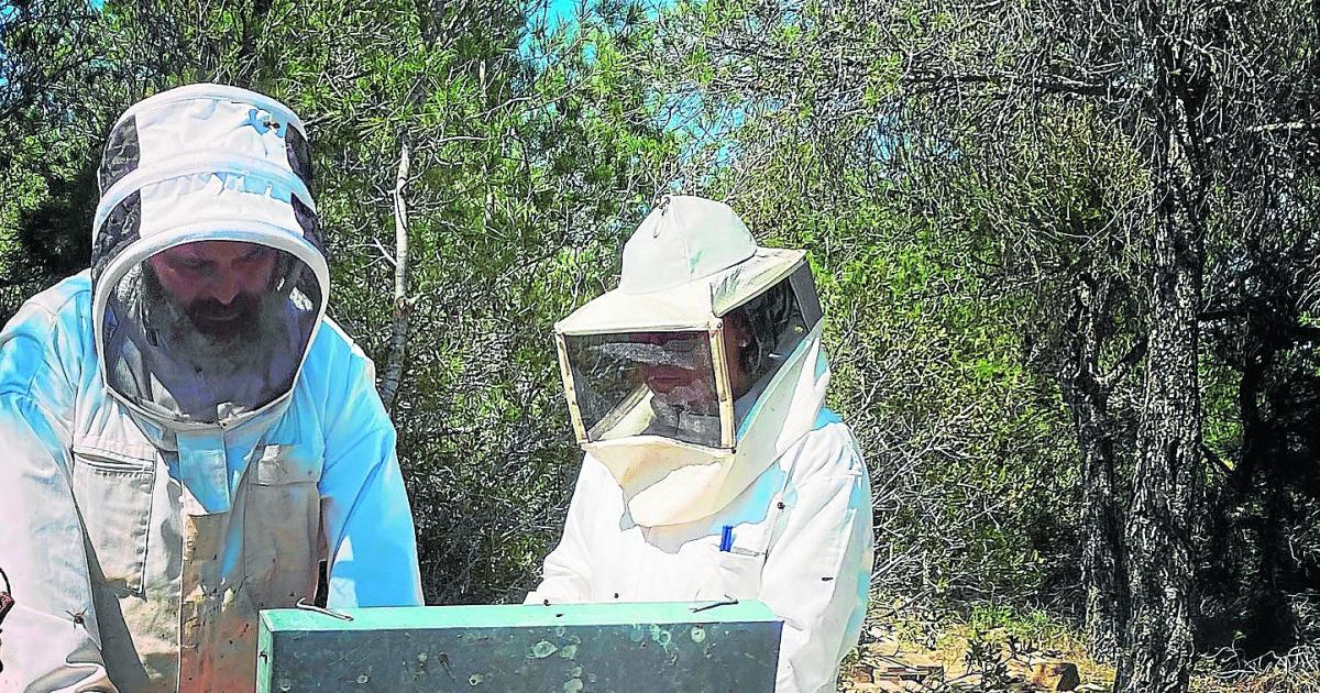 Four generations on the lookout to the sky to take care of bees