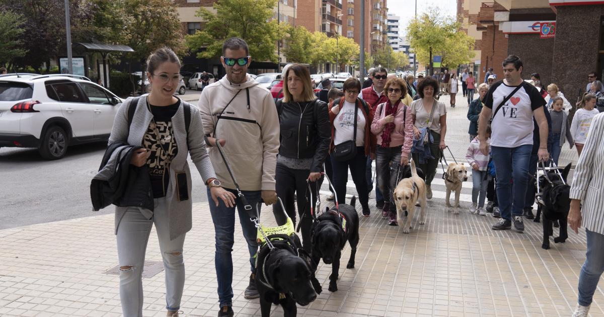tolerancia Intensivo caballo de fuerza Los usuarios de perros guía piden en Teruel eliminar barreras físicas