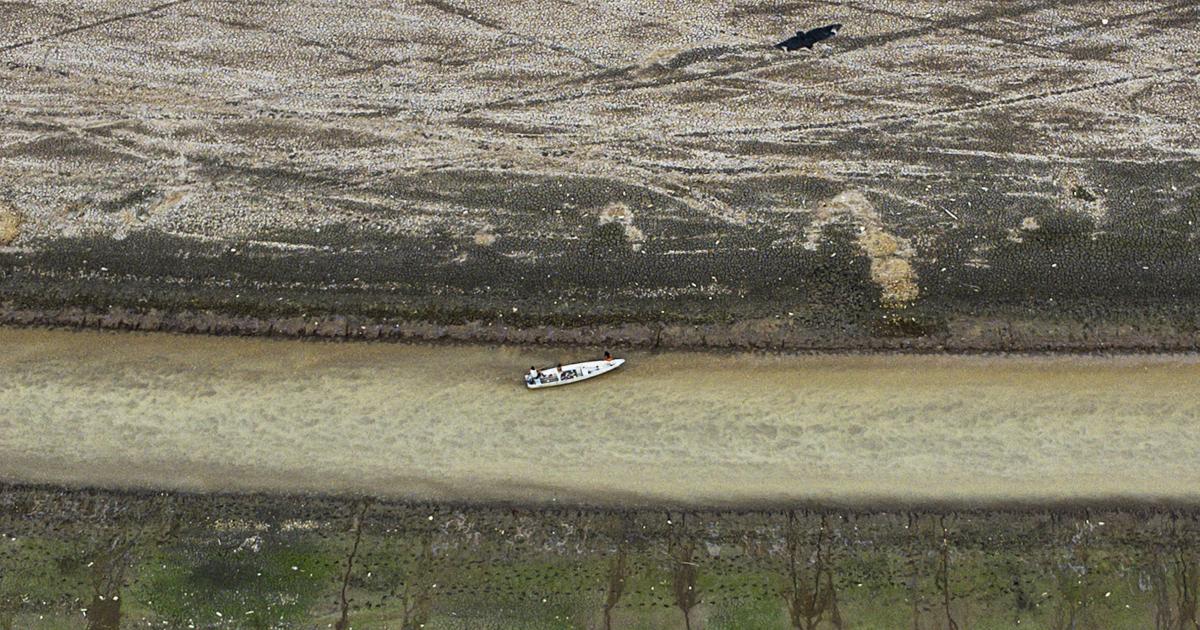 La Sequía Lleva Al Río Amazonas A Niveles Mínimos A Su Paso Por Brasil 