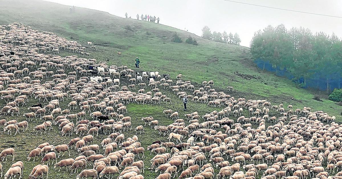 La universidad trashumante cumple diez años