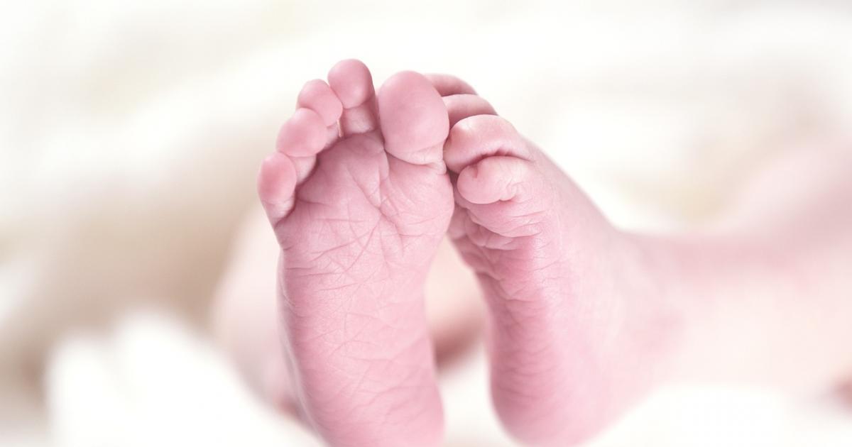 Nasce o primeiro bebé em Portugal após a legalização da inseminação post mortem