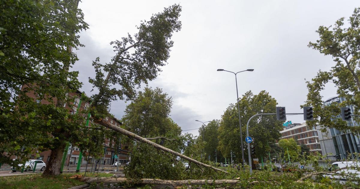 Un violento temporale provoca ingenti danni a Milano e due morti nel nord Italia