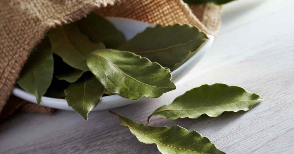 Why people put bay leaves under their pillows as a natural remedy