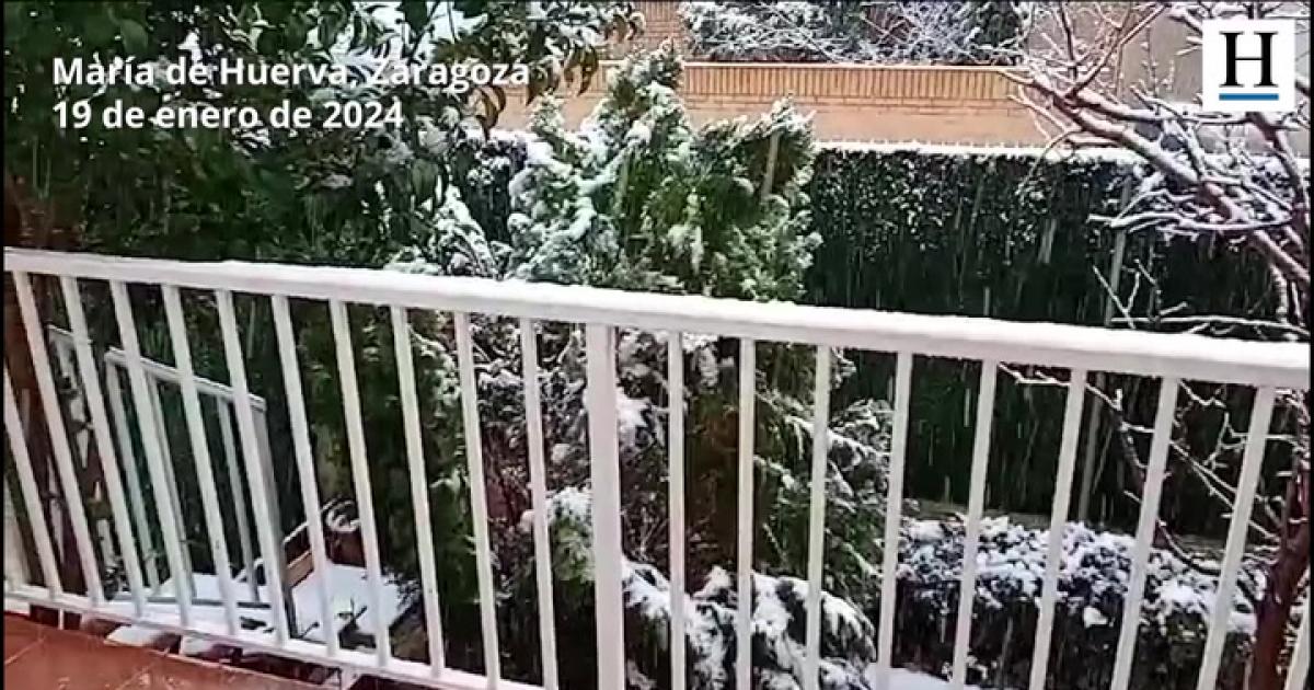 VIDEO La nieve cae en varios puntos de la provincia de Zaragoza
