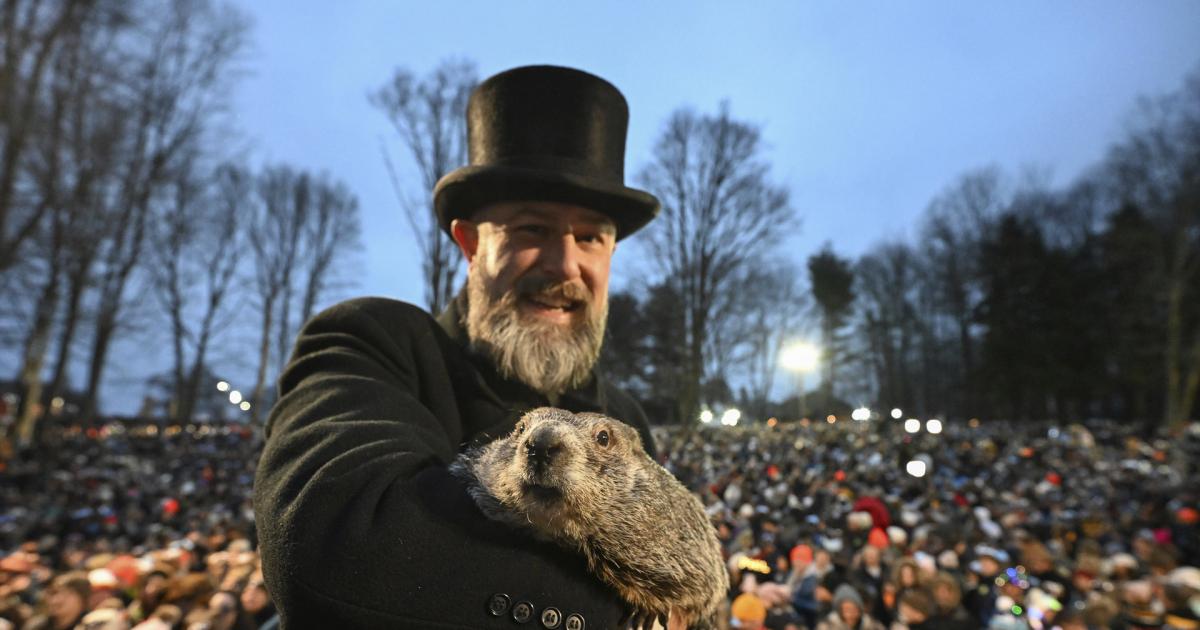 La marmota Phil pronostica una primavera adelantada con temperaturas