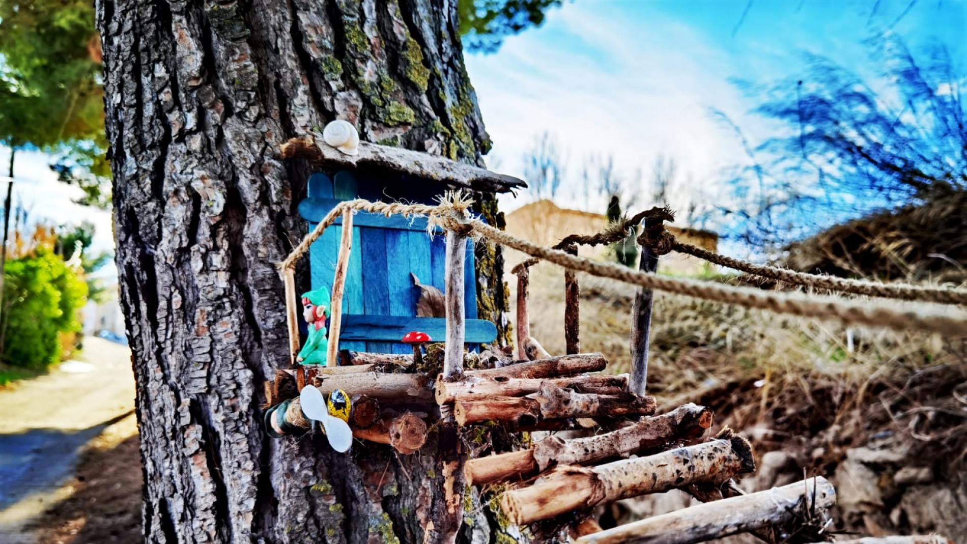 Encuentran Duende Real En El Bosque 