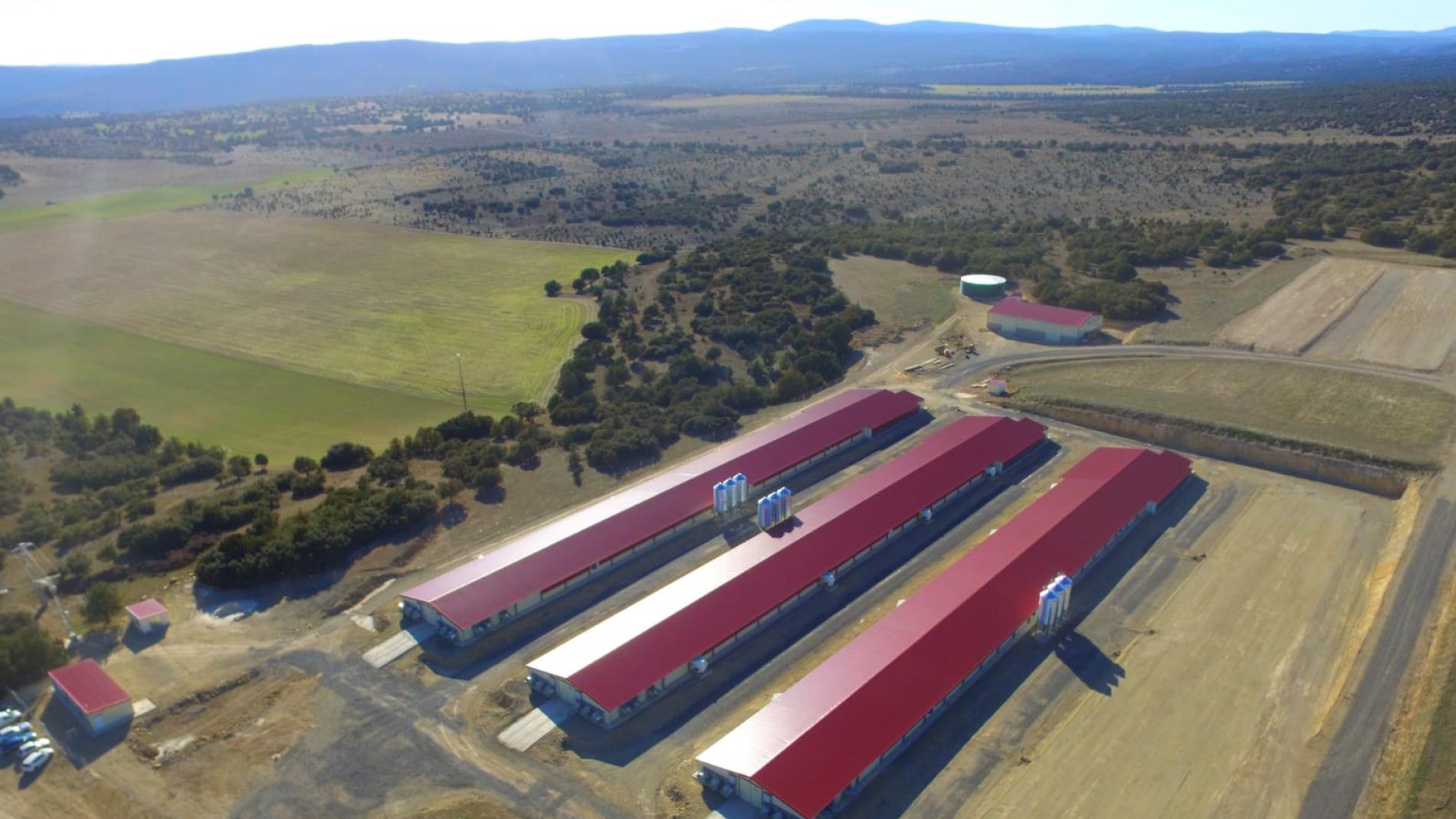 Progasa inicia la actividad de la mayor granja de pollos certificados de  Teruel