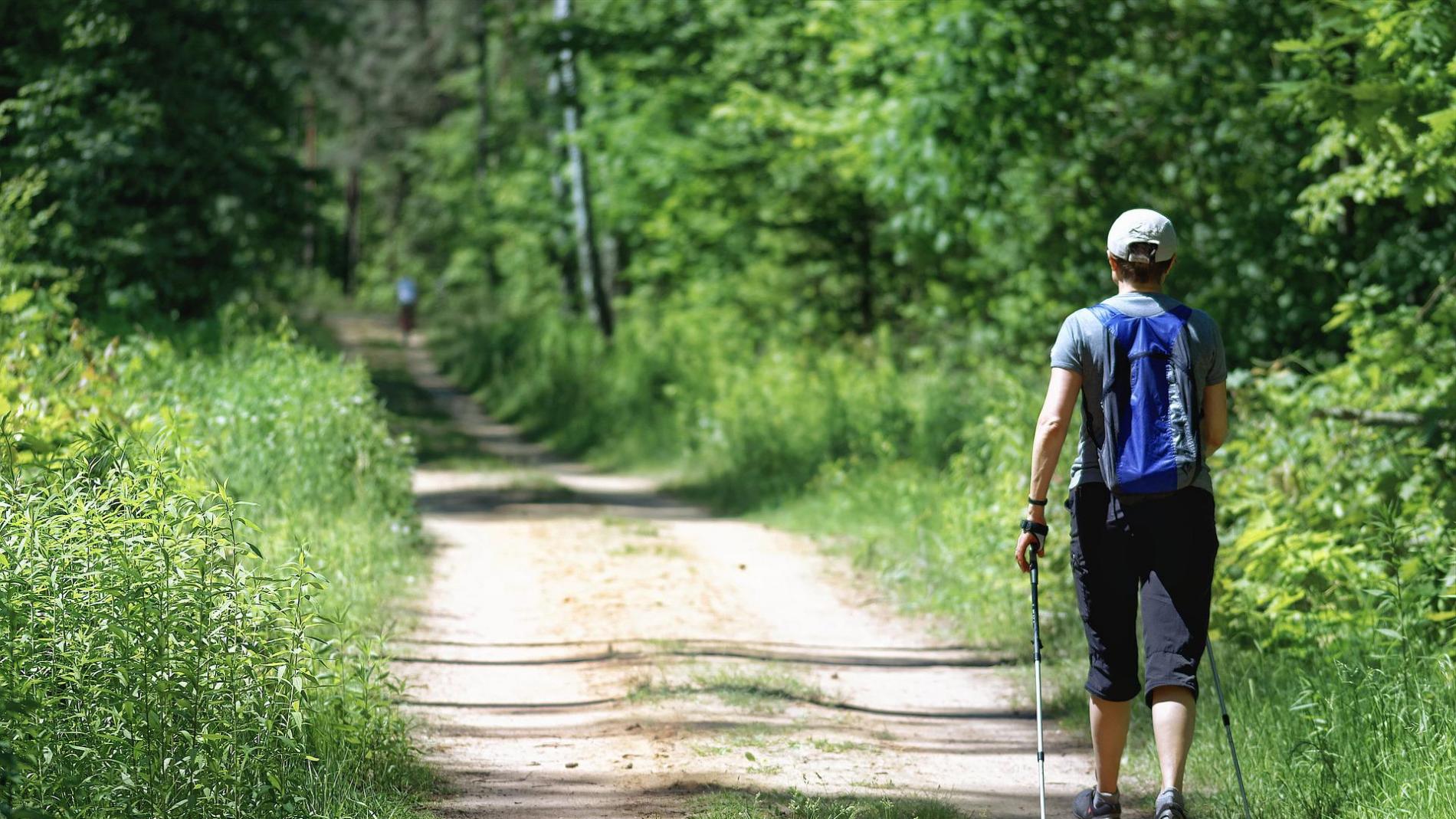 Trekking', 'trail running' o 'nordic walking': claves para elegir tus bastones  de senderismo según tu actividad deportiva